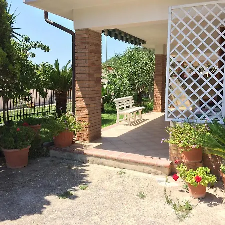 La Tuia
